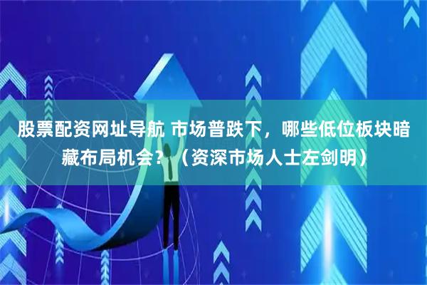 股票配资网址导航 市场普跌下，哪些低位板块暗藏布局机会？（资深市场人士左剑明）