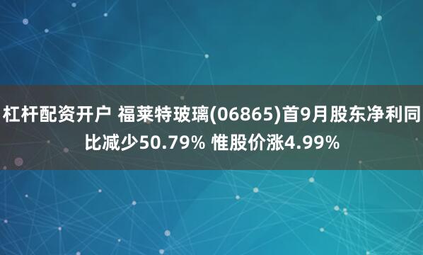 杠杆配资开户 福莱特玻璃(06865)首9月股东净利同比减少50.79% 惟股价涨4.99%