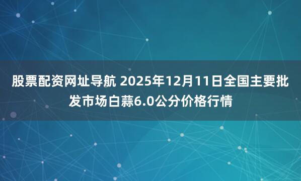 股票配资网址导航 2025年12月11日全国主要批发市场白蒜6.0公分价格行情