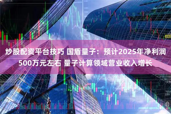 炒股配资平台技巧 国盾量子：预计2025年净利润500万元左右 量子计算领域营业收入增长