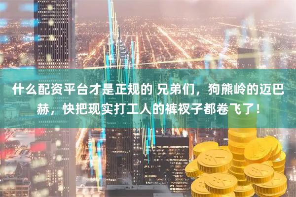 什么配资平台才是正规的 兄弟们，狗熊岭的迈巴赫，快把现实打工人的裤衩子都卷飞了！