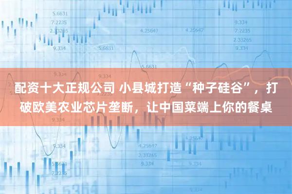 配资十大正规公司 小县城打造“种子硅谷”，打破欧美农业芯片垄断，让中国菜端上你的餐桌