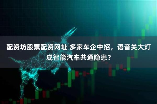 配资坊股票配资网址 多家车企中招，语音关大灯成智能汽车共通隐患？